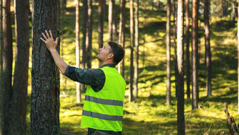 Raiekontroll tagab metsaomaniku südamerahu